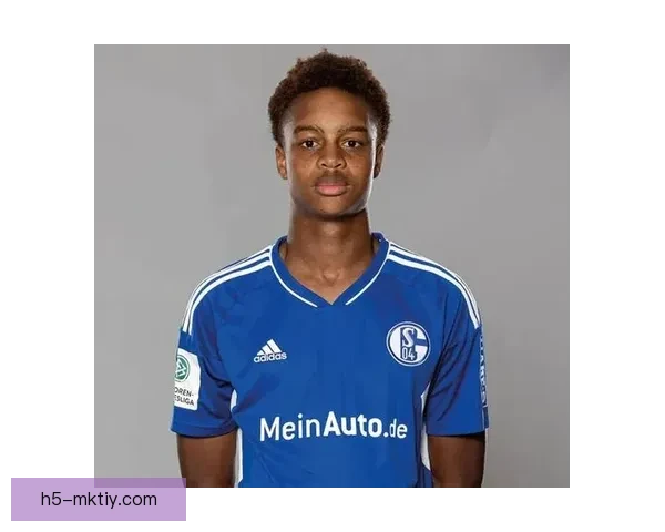 韦德拉奥果膝腱伤休战三月底