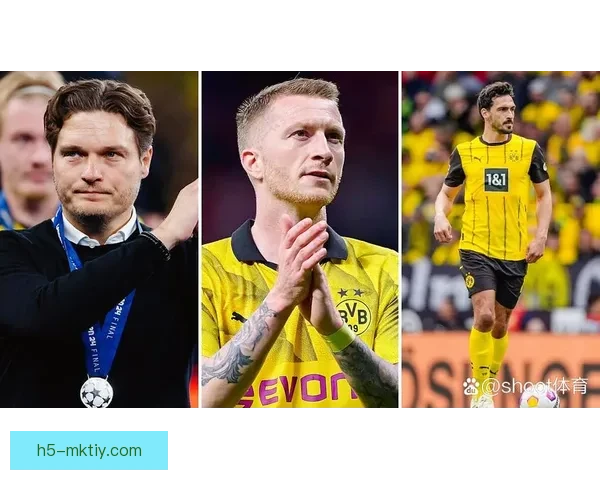 胡梅尔斯称VAR有疑不判红点