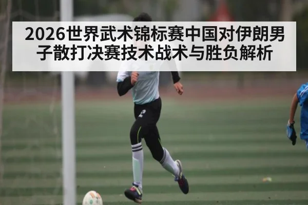 2026世界武术锦标赛中国对伊朗男子散打决赛技术战术与胜负解析（c7c7）